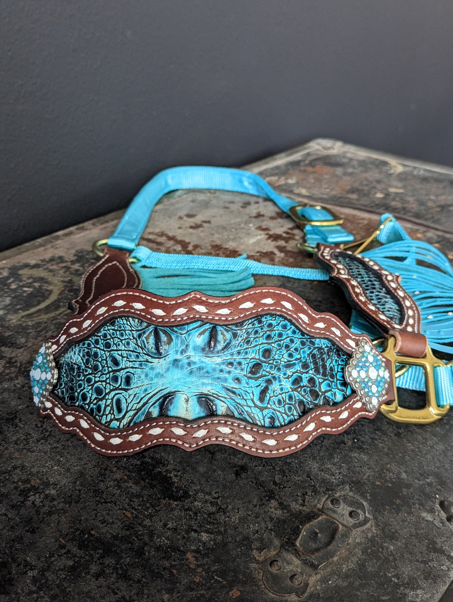 Teal Gator Bronc Halter with Cheeks