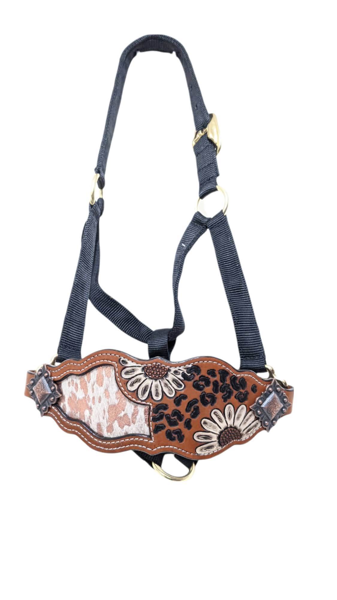 Daisy & Cheetah Noseband with Rose Gold HOH Inlay on Black Halter