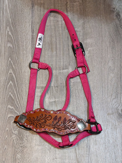 Pink Nylon Halter with Bronc Noseband, tooled with Indian Paintbrush