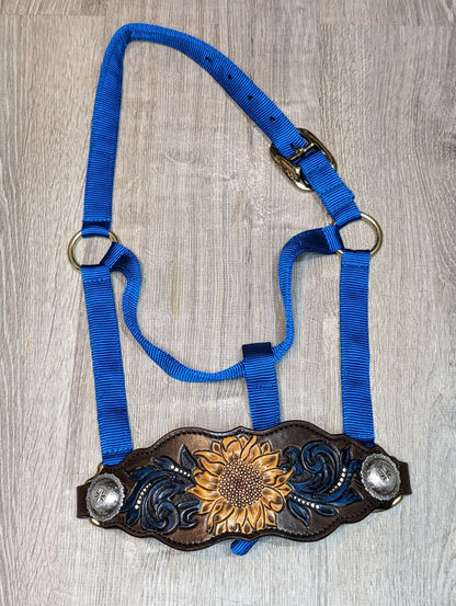 Sunflower and swirl tooled noseband on Royal Blue Nylon Halter